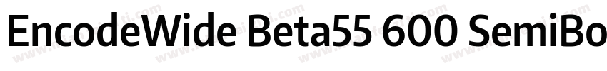 EncodeWide Beta55 600 SemiBold字体转换
